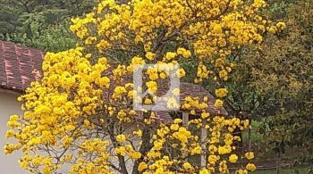 WhatsApp Image 2022-07-26 at 12.32.36