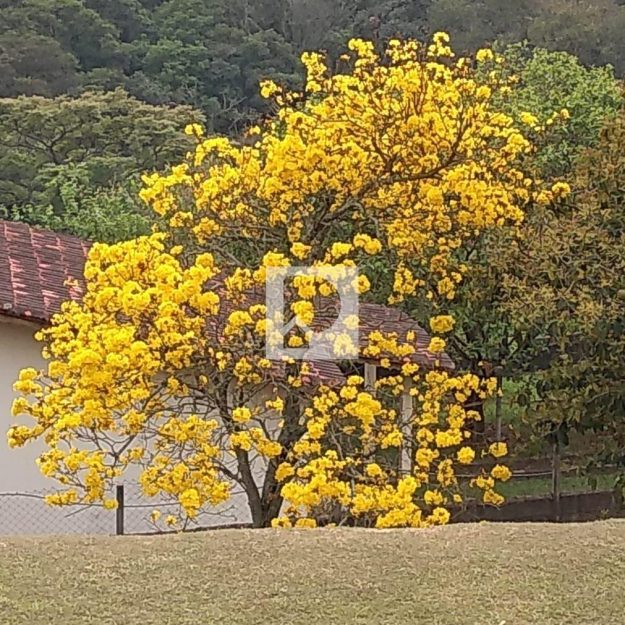 WhatsApp Image 2022-07-26 at 12.32.36