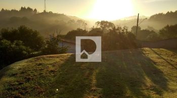 WhatsApp Image 2022-07-26 at 12.32.37 (1)