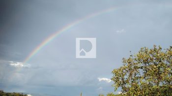 WhatsApp Image 2022-07-26 at 12.32.38 (1)