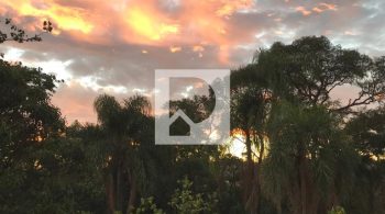 WhatsApp Image 2022-07-26 at 12.53.08