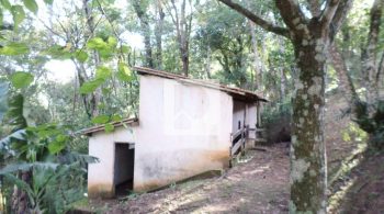 WhatsApp Image 2022-07-26 at 12.53.10 (3)