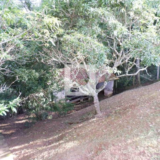 WhatsApp Image 2022-07-26 at 12.53.11 (1)