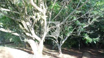 WhatsApp Image 2022-07-26 at 12.53.11 (2)