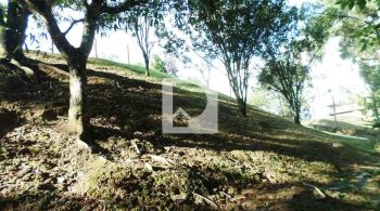 WhatsApp Image 2022-07-26 at 12.53.11 (3)