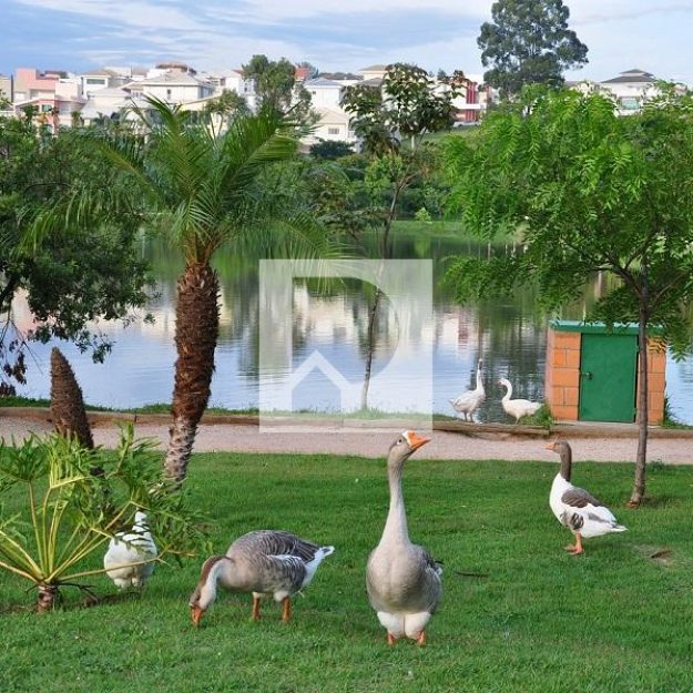 a guangue